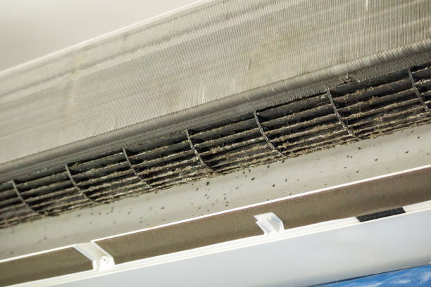 Best Air Vent Cleaning Services  in Continental, OH